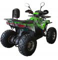  Spark SP125-13